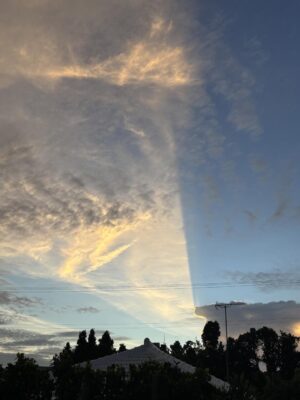 IMG_2484_2.JPG